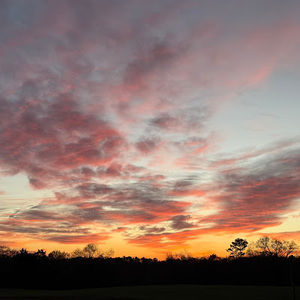 Meet your Posher, Leigh